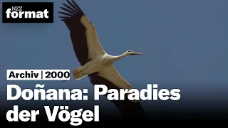 Doñana: Paradies der Vögel | Nationalparks in Europa (1) - Doku von NZZ Format (2000)