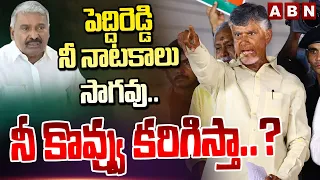 పెద్దిరెడ్డి నీ నాటకాలు సాగవు..నీ కొవ్వు కరిగిస్తా..? | Chandrababu Warning To Minister Peddireddy