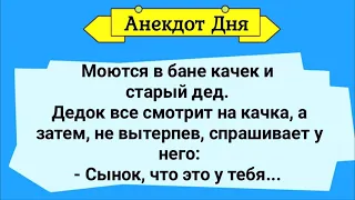 Качок, Старый Дед и Шишки В Бане! Анекдот Дня! Юмор! Смех!