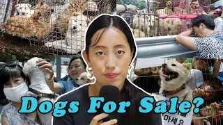 Do People in China Really Eat Dogs?: A Lesson on Stereotypes and the Weaponization of Morality