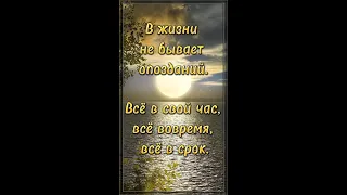 В жизни не бывает опозданий... Стих со смыслом.💯 Жизненная поэзия. 💯 Потрясающий стих. 💯  #shorts