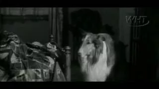 Lassie 03x01 Bee Hive