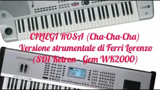 CILIEGI ROSA (Cha-Cha-Cha) SD1 ketron - Gem WK2000