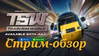 Стрим- Обзор TRAIN SIM WORLD PS4