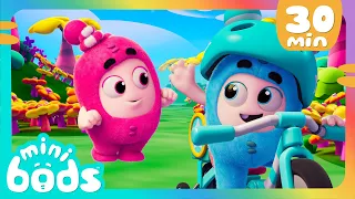 Lulu's Camping Adventure | Minibods | Mini Oddbods | Baby Oddbods | Funny Cartoons For Kids