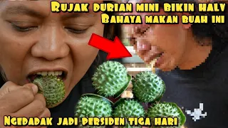 GAW4T RUJAK DURIAN MINI BIKIN HALV 3 HARI