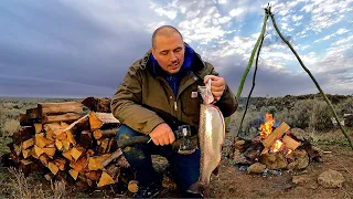 GIANT TROUT Fishing & RUSTIC Van Camping at my Property!!! (Catch & Cook)
