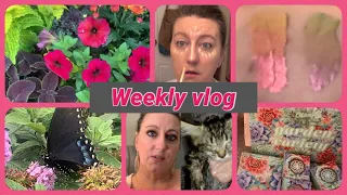 Finally weekly vlog, kitten updates, new products, CHATTY GRWM, finances and more!