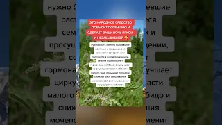 это народное средство повысит потенцию и сделает вашу ночь яркой и незабываемой