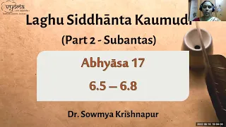 17 | Abhyasa – 6.5 to 6.8 | Laghu Siddhanta Kaumudi Part 2 | Dr. Sowmya Krishnapur