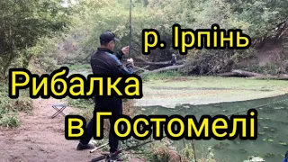 Рибалка в Гостомелі на річці Ірпінь. Плотва краснопірка окунь бичок