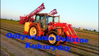 Odżywianie dolistne kukurydzy / Opryski traw / Hardi 1000l 15-18m / Renault 95.14