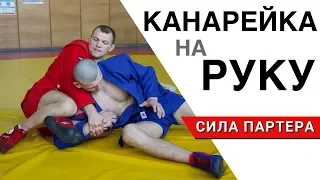 Канарейка на руку. Очень жесткий болевой прием в самбо