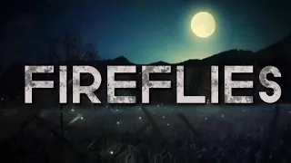 The Rasmus - Fireflies (juanchu Lyrics & Design)