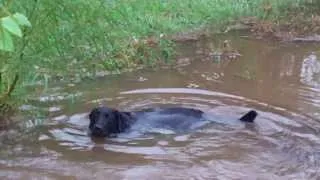 Water Overflows Pond Banks After Heavy Rain