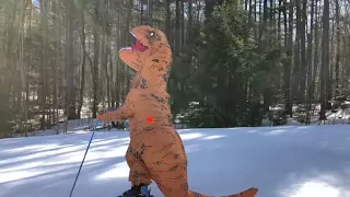 T-Rex skiing 2