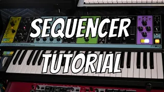 How to Use the Sequencer on the Moog Matriarch Synthesizer