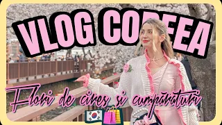 VLOG COREEA DE SUD: Mergem să vedem flori de cireș și vă arăt ce mi-am cumpărat din Coreea🇰🇷🛍️