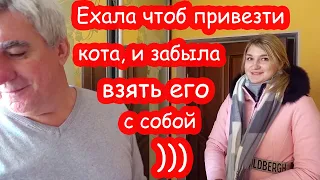 VLOG Настя забыла Батона. Ищем причину аритмии