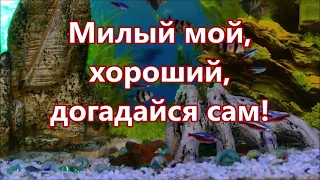ОЙ ЦВЕТЁТ КАЛИНА- КАРАОКЕ- текст песни