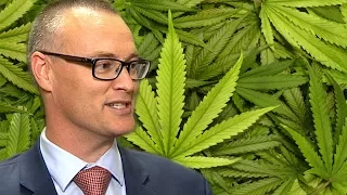 Details of Medicinal Cannabis Bill released