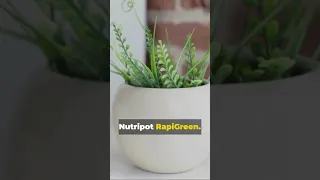 Nutripot Rapigreen 6 sec insta