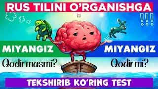 Rus tilini o'rganishga miyanggiz kuchi yetadimi? O'zinggizni tekshirib ko'ring. T E S T