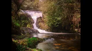 Lake District - Aira Force Waterfall Photography