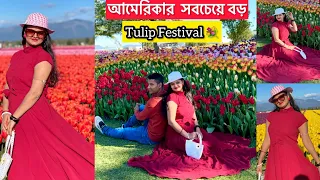 Skagit Valley Tulip Festival🌷/আমেরিকার সবচেয়ে বড় Tulip festival//washington/USA/Bengalivlog/vlog