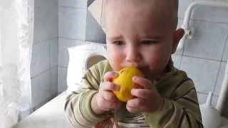 ребенок ест лимон смешно очень