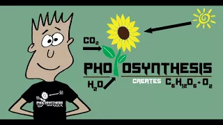 The Photosynthesis Song | Mister C (Song #8)