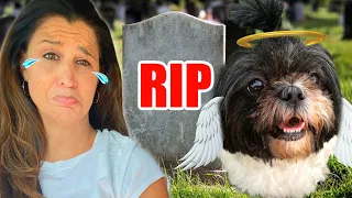 OUR DOG DIED  😢