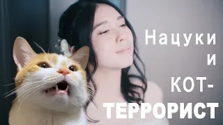 「歌う猫」Нацуки и кот-террорист (съёмки "Прекрасного далёка")