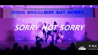 동국대학교 REAL 2019 새내기배움터 공연 - Sorry Not Sorry