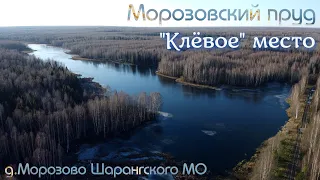 Морозовский пруд. "Клёвое"🐟 место! Осенняя прогулка. р.Собанка. д.Морозово. Шарангский МО.