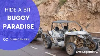 Buggy Safari in Tenerife with Buggy Paradise - Your Next Adventure Awaits