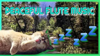 🌲PEACEFUL FLUTE MUSIC FOR SLEEP🌲#48 Healing Music for relaxing, sleeping, studying and meditating