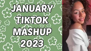 NEW TIKTOK MASHUP *JANUARY 2023* (Not Clean)