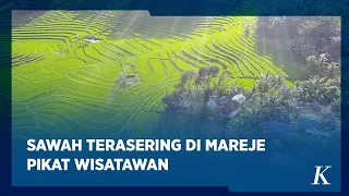 Terasering Mareje, Primadona Baru Pariwisata Lombok