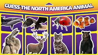 Guess the animal by the rotation || Animal Quiz