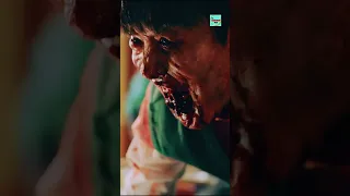 Top 5 Best Zombie Web Series In Hindi | All Of Us Are Dead Season 2 #zombiesurvival #top5 #kdrama