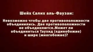 Может ли салафи акхида объединится с путем ихванов