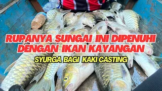 Part 3- Tidak dijangka!!! Berlimpah hasil menjala, pukat & selam ikan semah 2 hari di ulu sungai