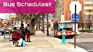 Do Bus Drivers memorize bus schedules?