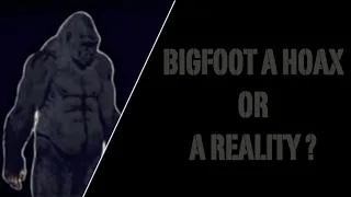 Bigfoot, Sasquatch, are they real or just another hoax ?!