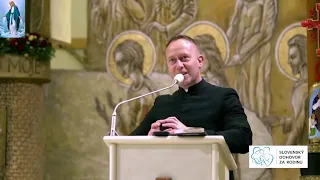 Online vo svete - Dominik Chmielewski - Víťazstvo Márie, nová Jar Cirkvi