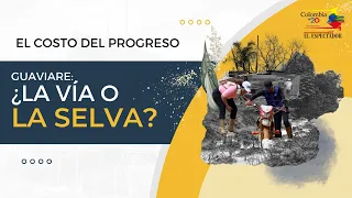 Una vía del Guaviare enfrenta a campesinos, ambientalistas y al Estado | Colombia +20