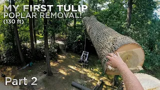 130ft Tall Tulip Poplar Removal In Pennsylvania | Part 2