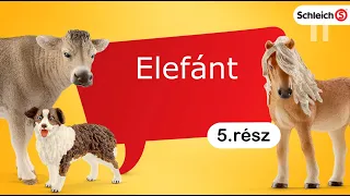 SCHLEICH 5. RÉSZ - ELEFÁNT