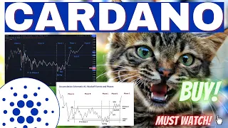 Cardano ADA Are You Being Fooled?! Smart Money Accumulating At These Prices? PAB update! Must Watch!